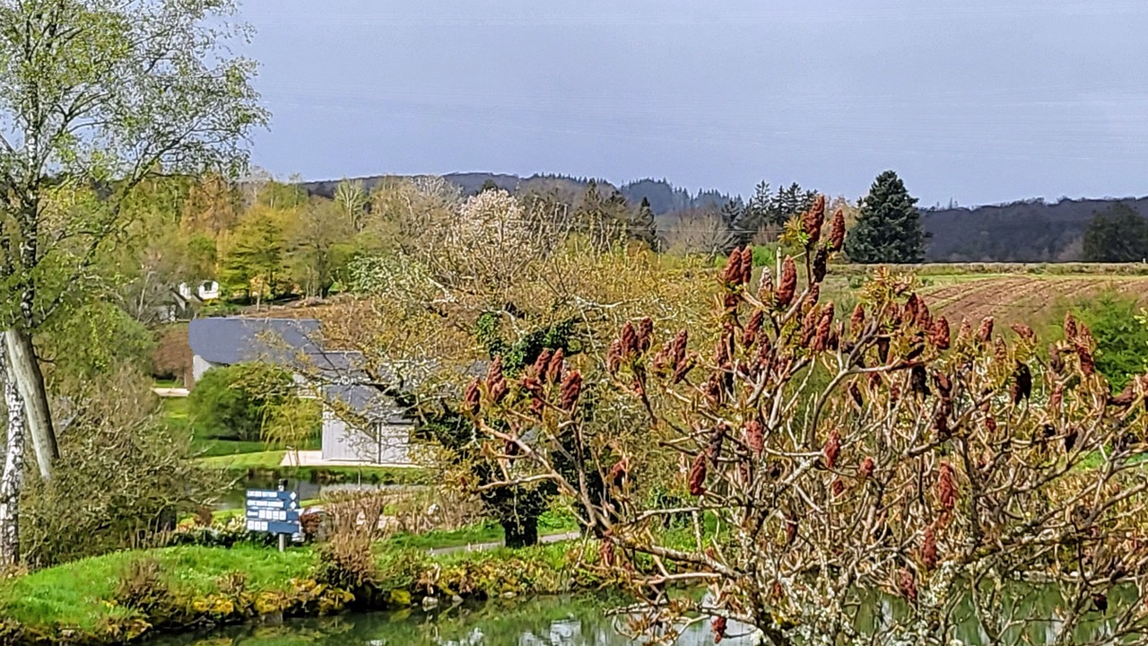 Photo of Outdoor in Montsauche-les-Settons