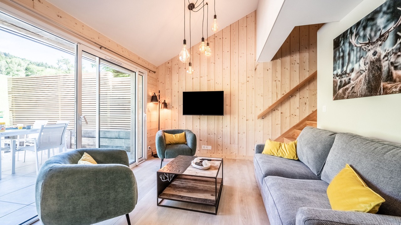 Photo of Livingroom in Saxel