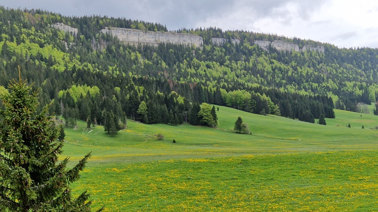 Photo of Others in Chapelle-des-Bois