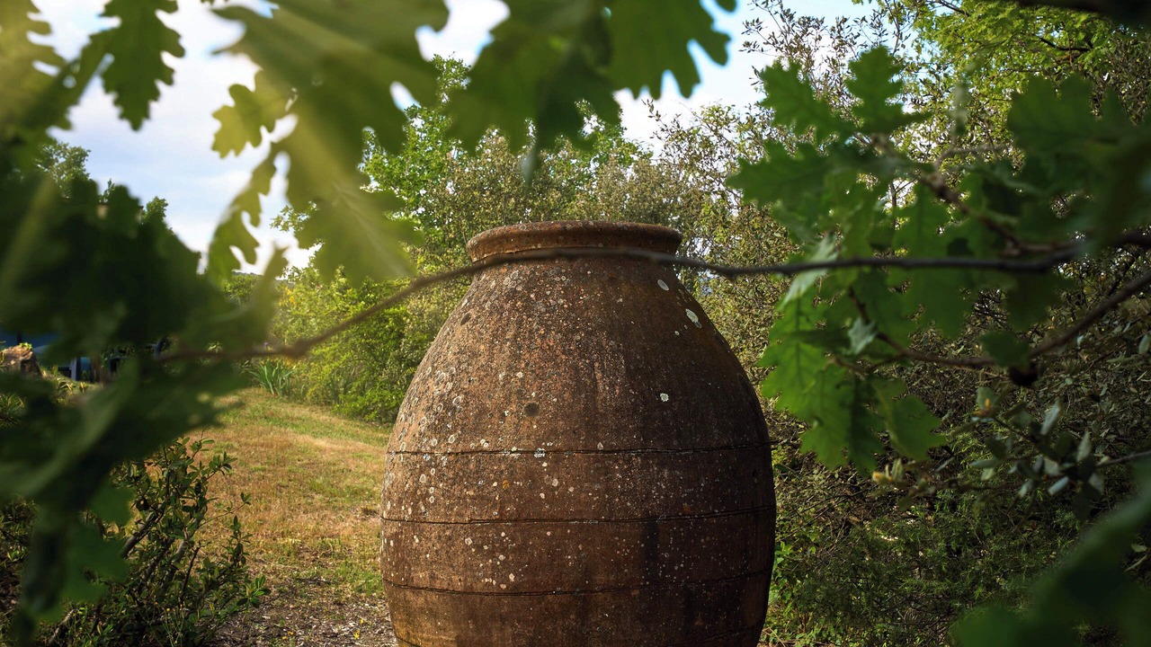Photo of Outdoor in Saint-Romain-en-Viennois
