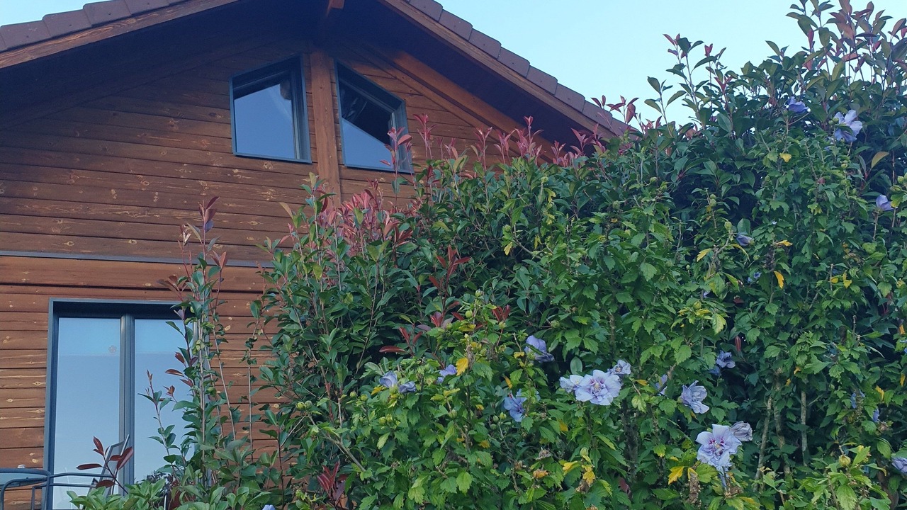 Photo of Outdoor in Ferdrupt