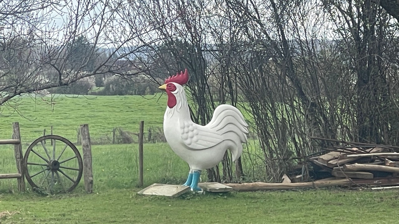 Photo of Outdoor in Courlans