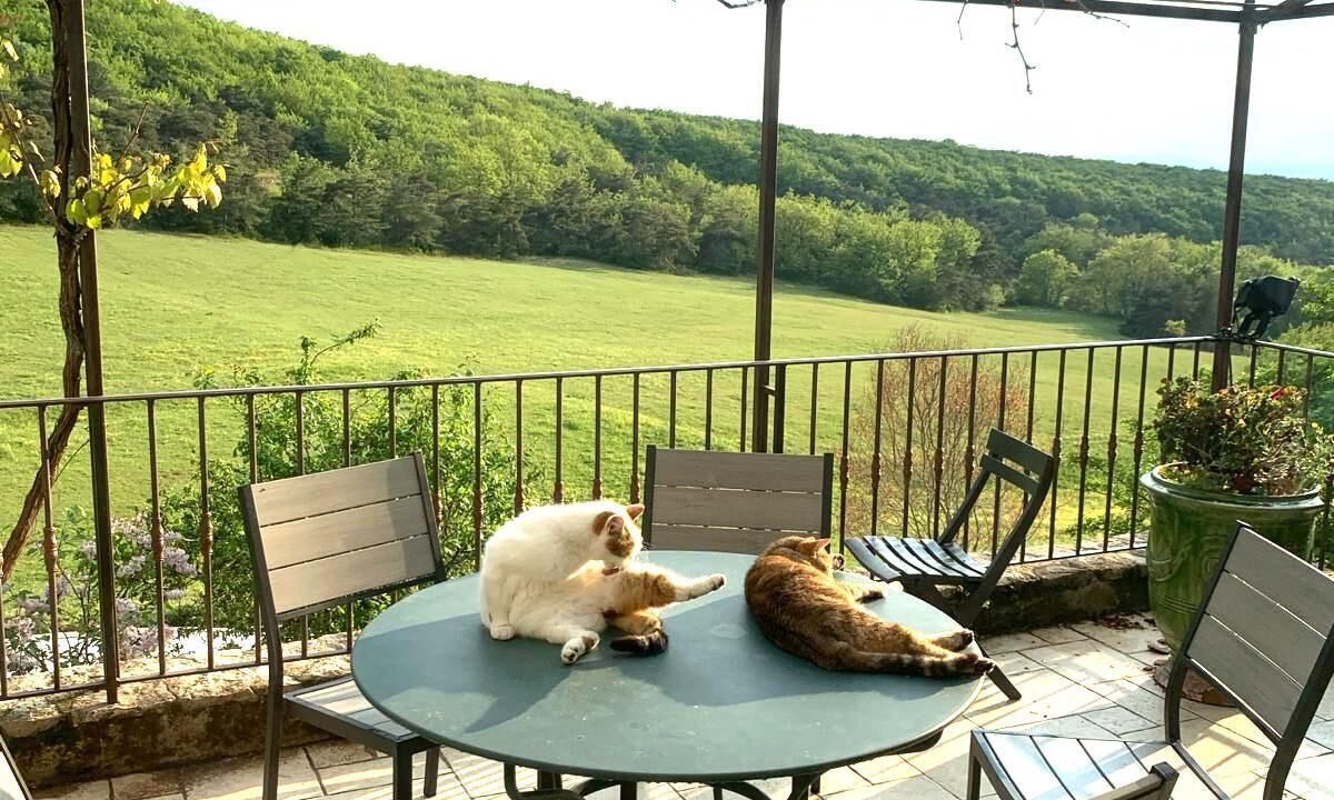 Photo of Outdoor in Felines-sur-Rimandoule