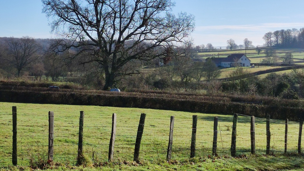 Photo of Outdoor in Baron