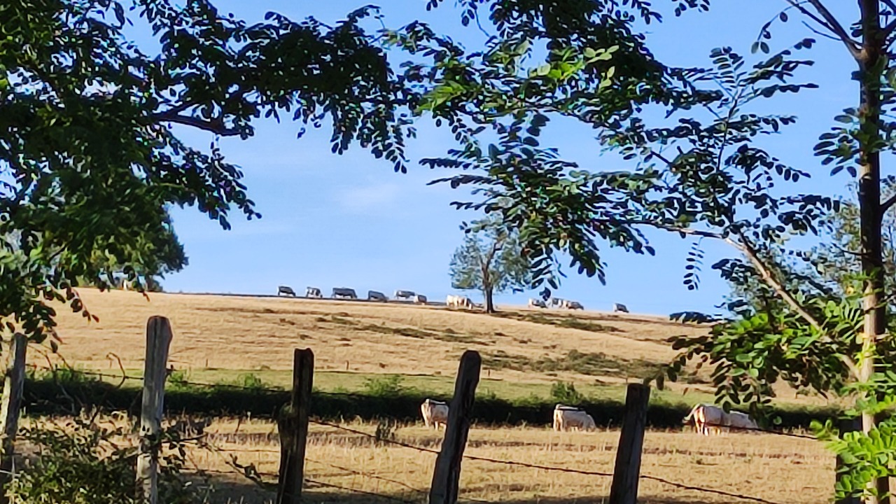 Photo of Outdoor in Baron
