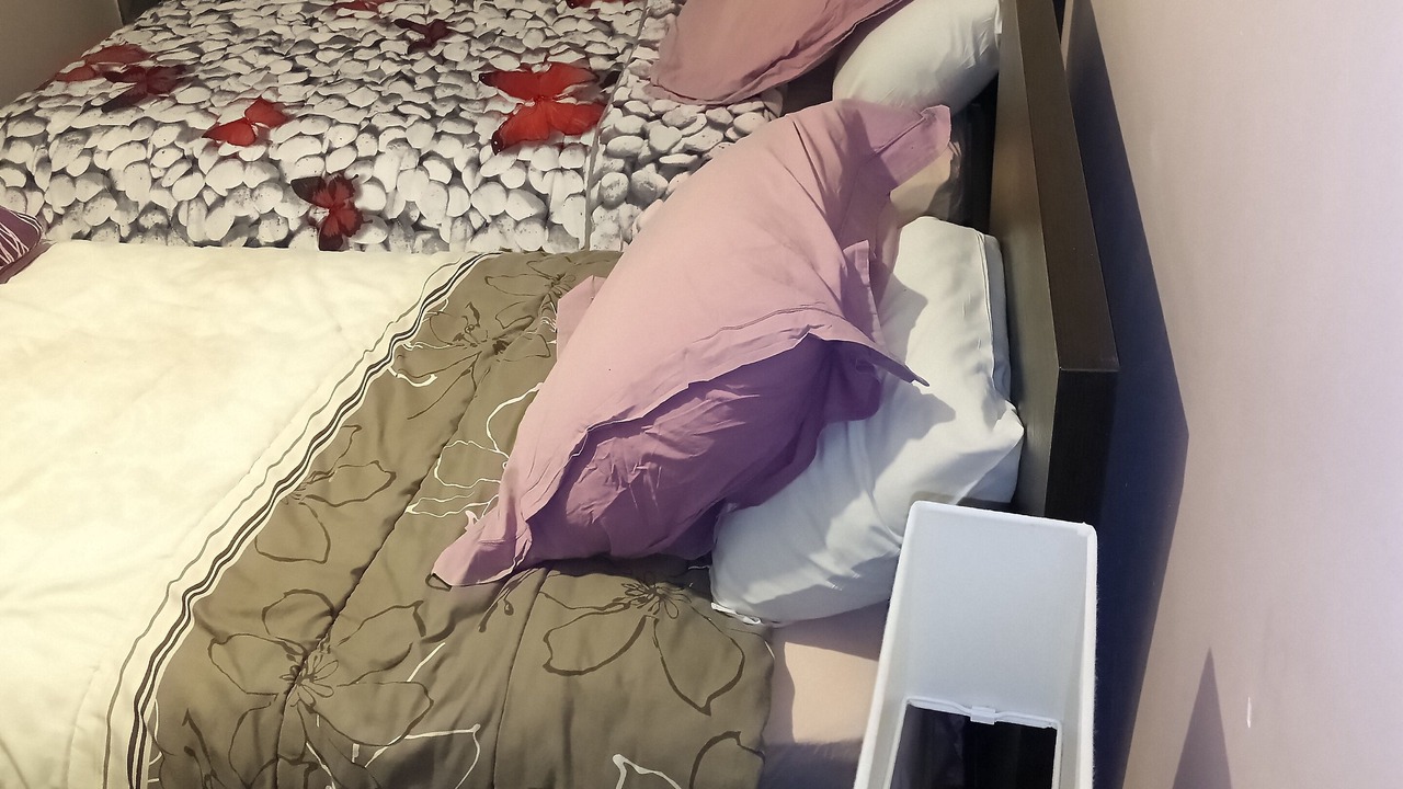 Photo of Bedroom in Noisy-le-Sec