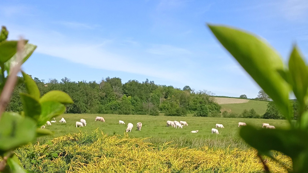 Photo of Others in Ameugny