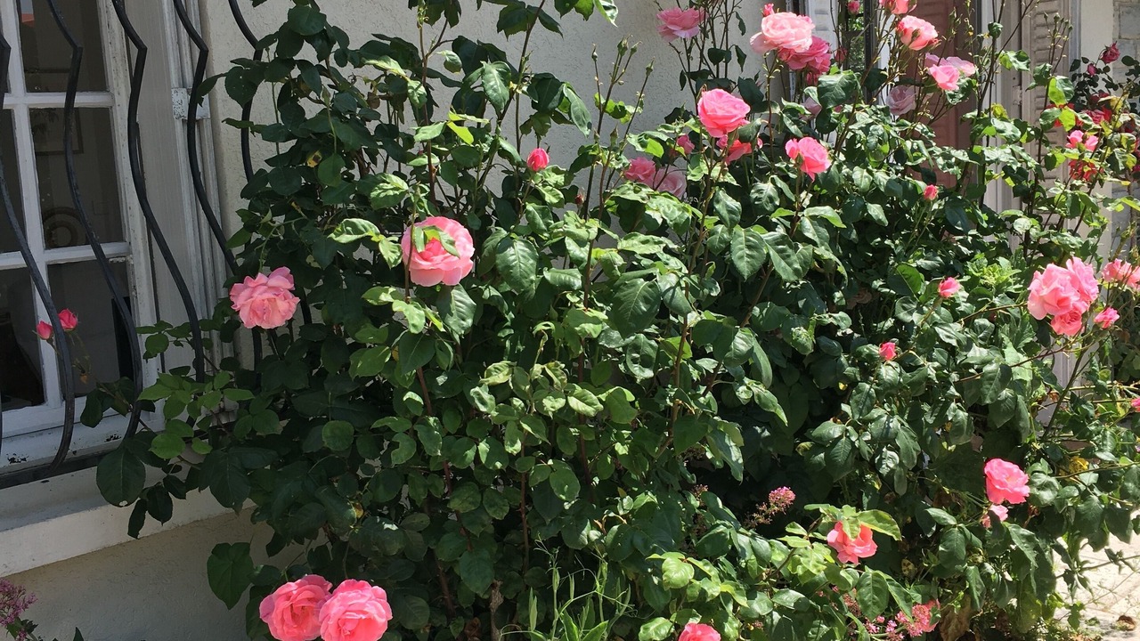 Photo of Outdoor in Marnay