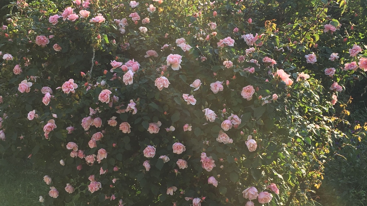 Photo of Outdoor in Marnay
