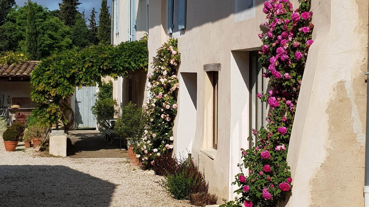Photo of Outdoor in Carpentras