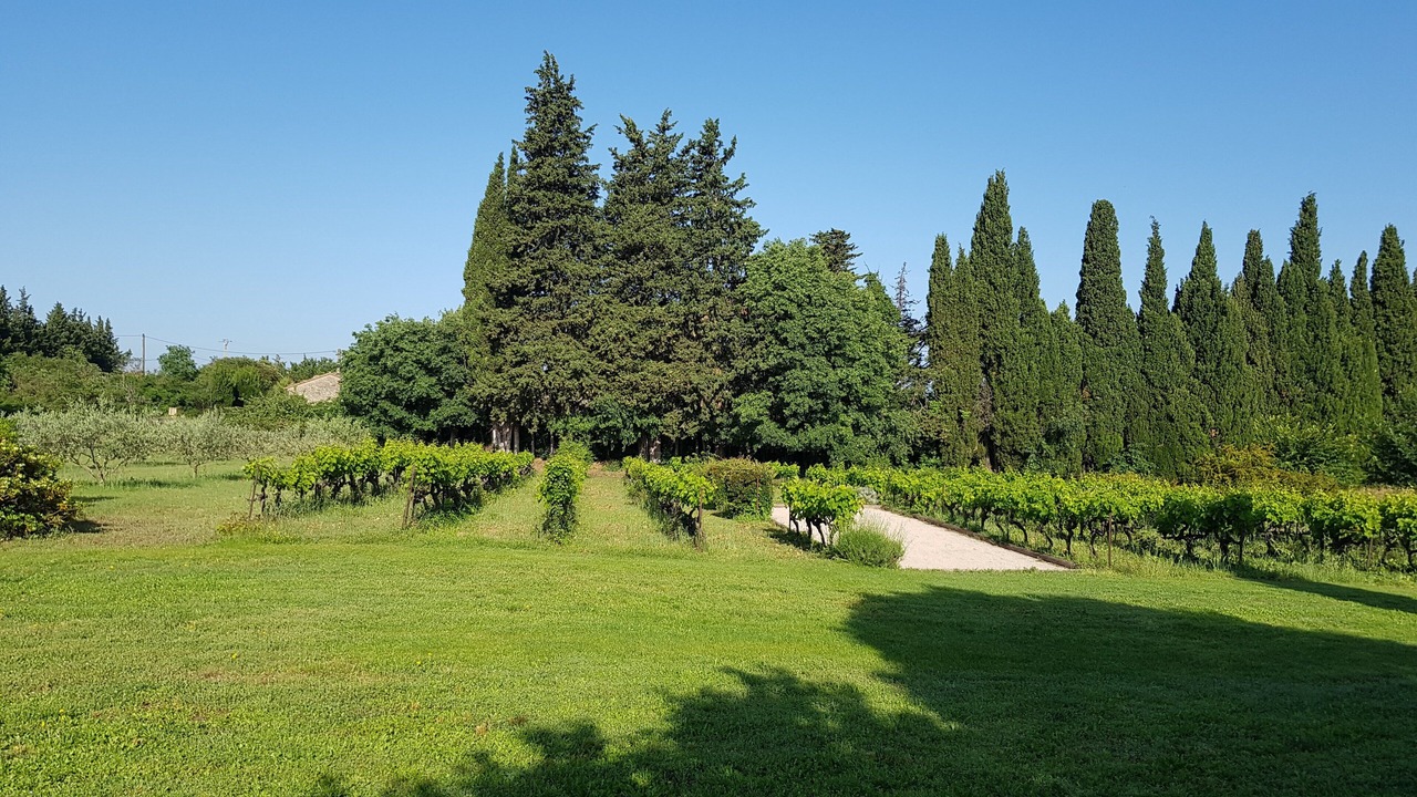 Photo of Outdoor in Carpentras
