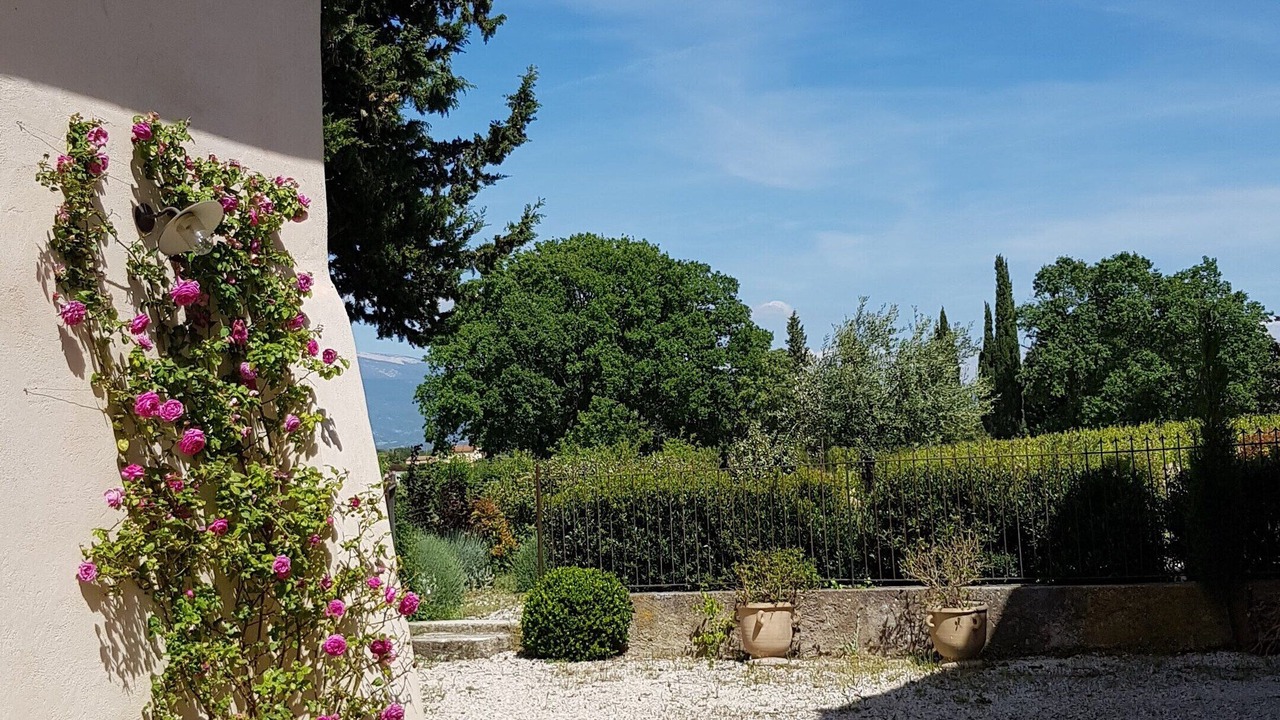Photo of Outdoor in Carpentras