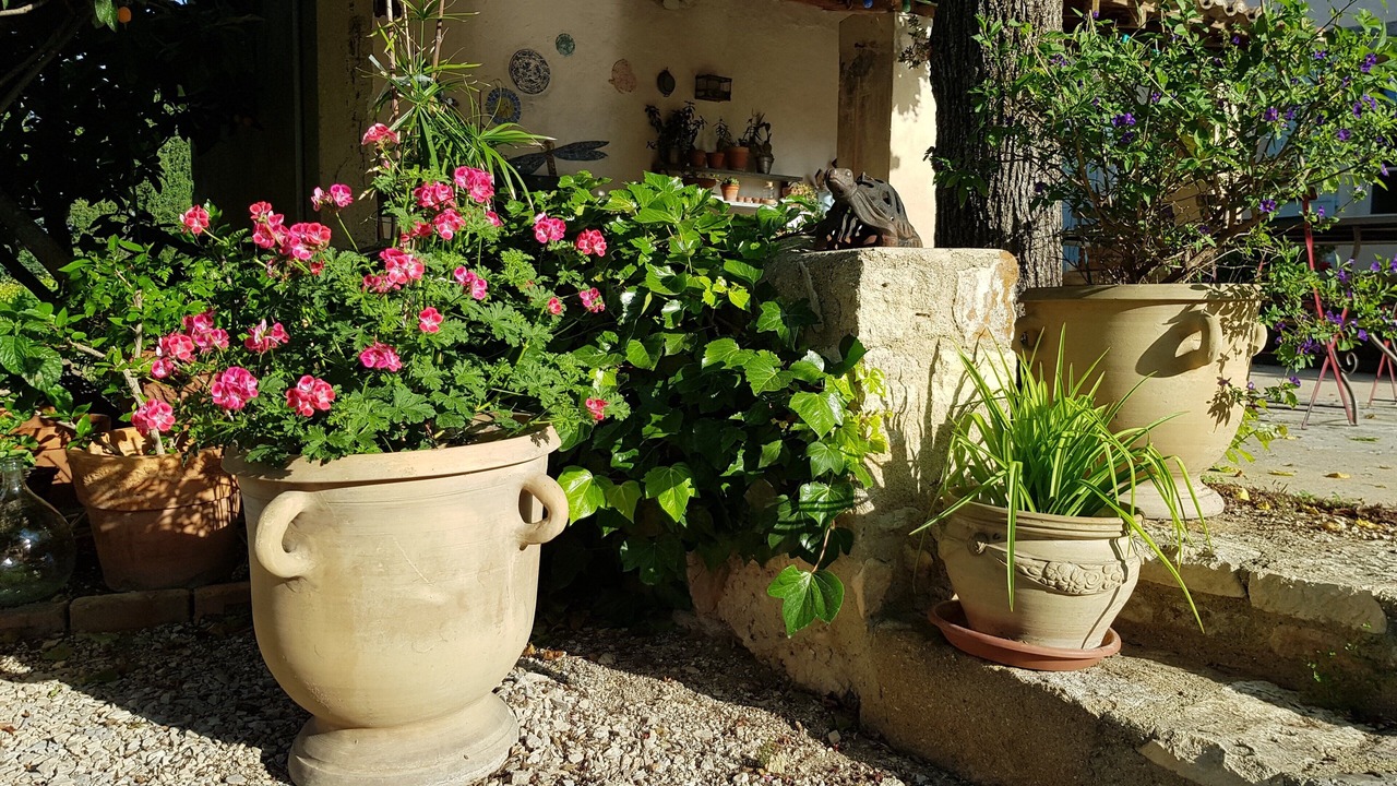 Photo of Outdoor in Carpentras