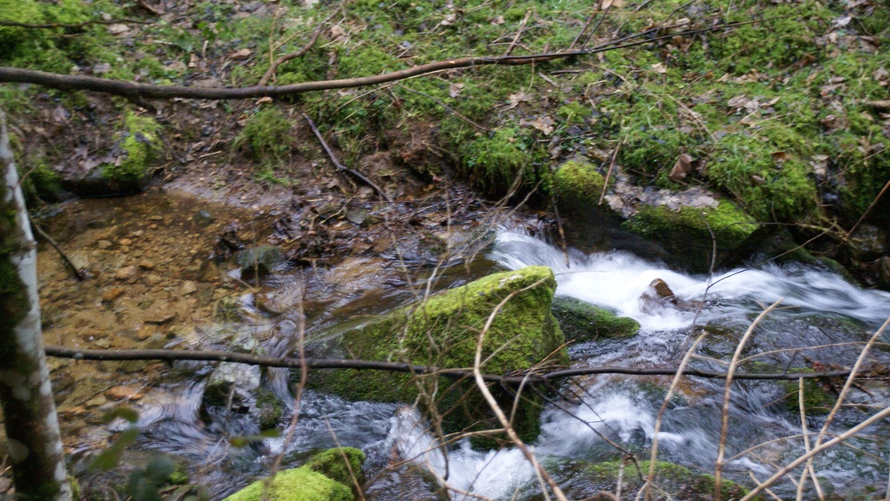 Photo of Outdoor in Saint-Jeure-d'Andaure