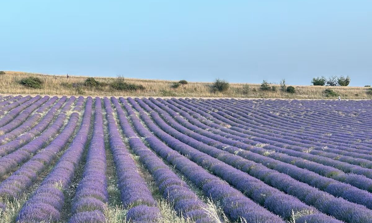 Photo of Outdoor in Montbrun-les-Bains