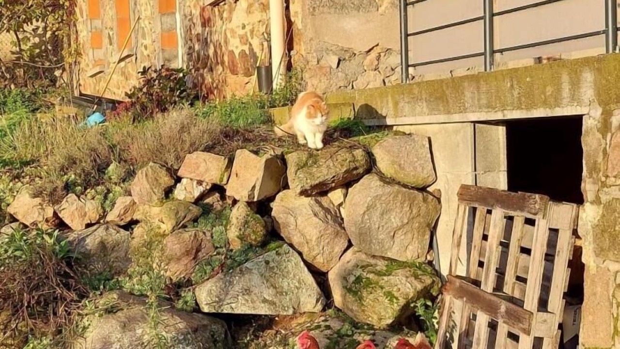 Photo of Outdoor in Haute-Rivoire