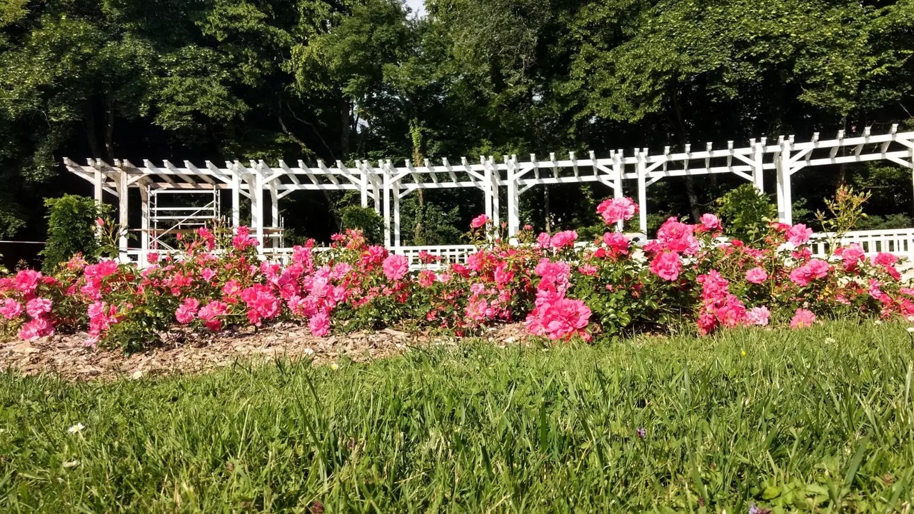 Photo of Outdoor in Vittel