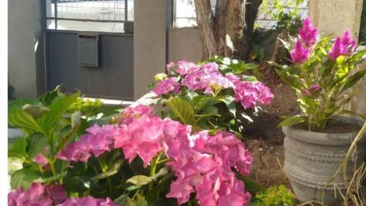 Photo of Outdoor in Aubiere
