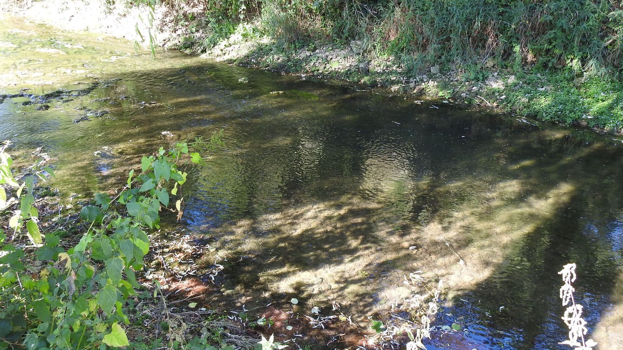 Photo of Others in Roches-Bettaincourt