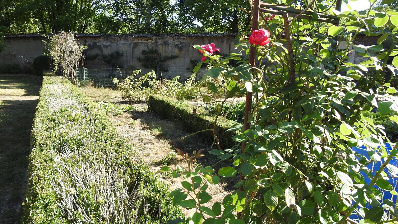 Photo of Outdoor in Roches-Bettaincourt