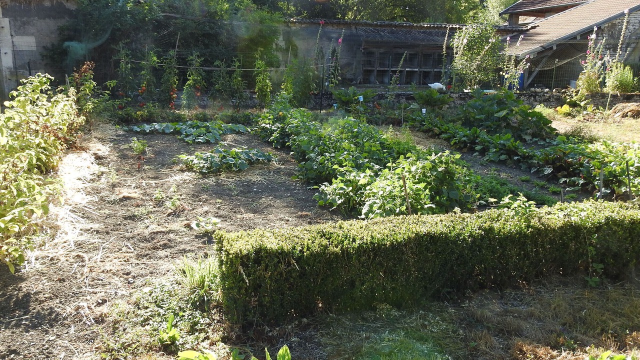 Photo of Outdoor in Roches-Bettaincourt