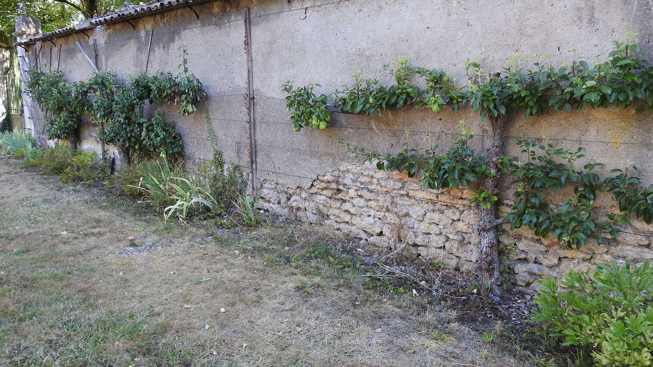 Photo of Outdoor in Roches-Bettaincourt