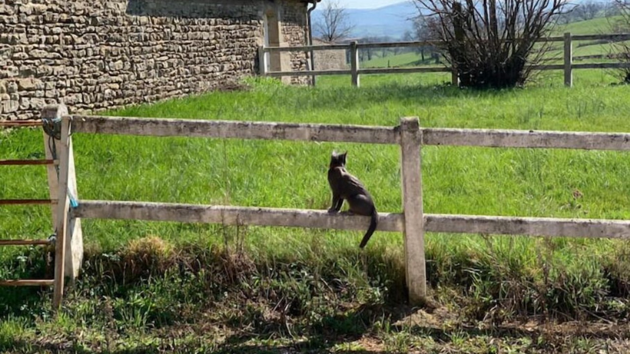 Photo of Outdoor in Saint-Laurent-en-Brionnais
