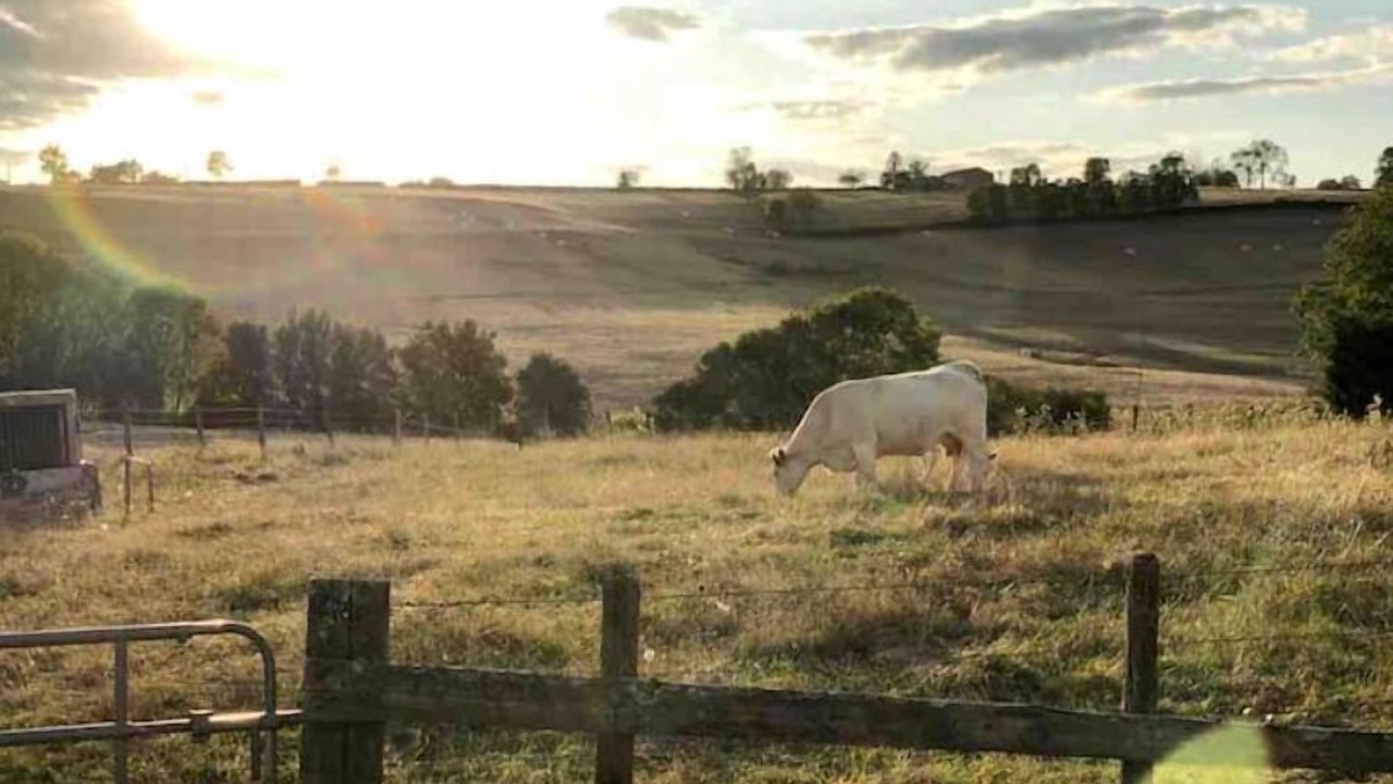 Photo of Outdoor in Saint-Laurent-en-Brionnais