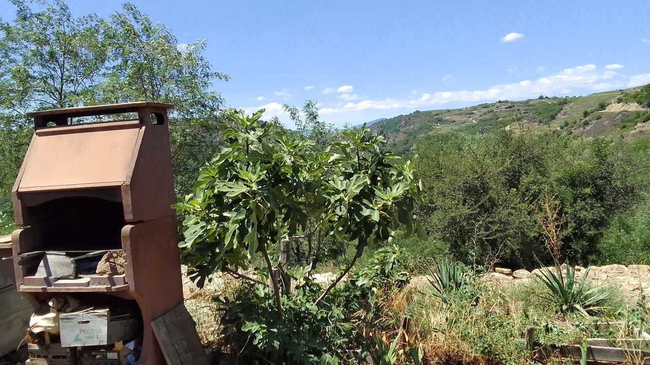 Photo of Outdoor in Sarras