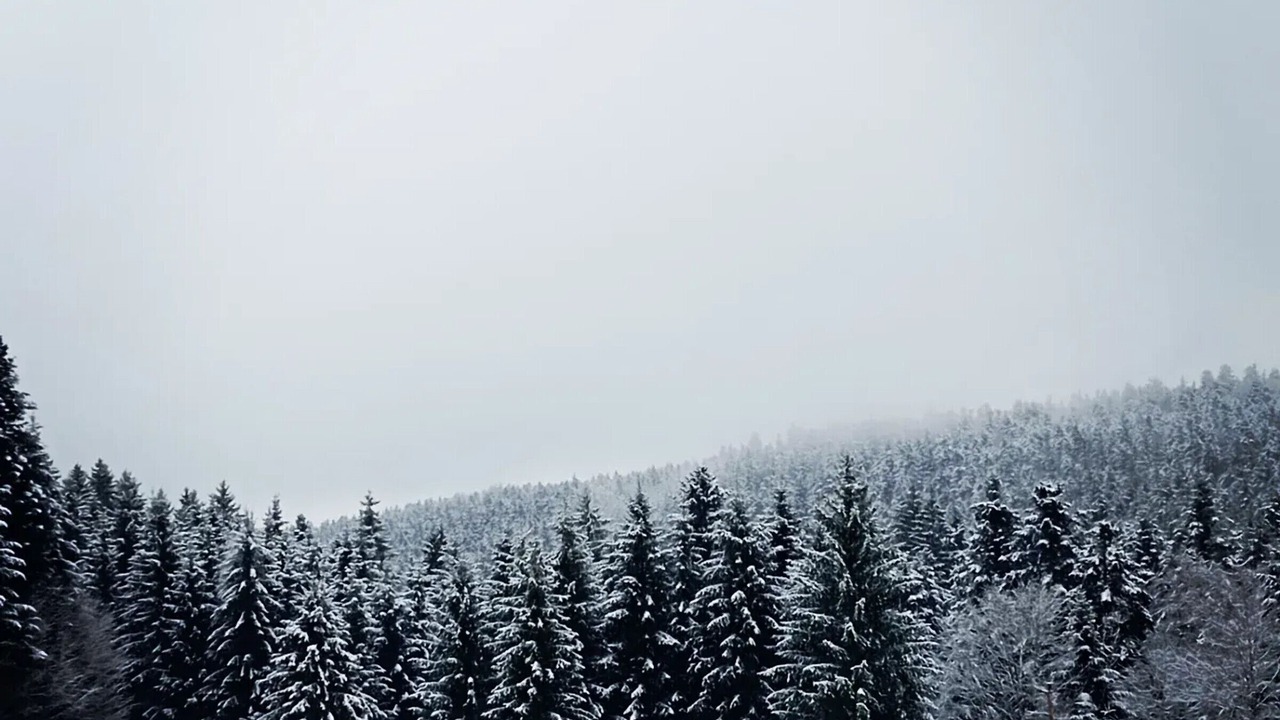 Photo of Others in Girmont-Val-d'Ajol
