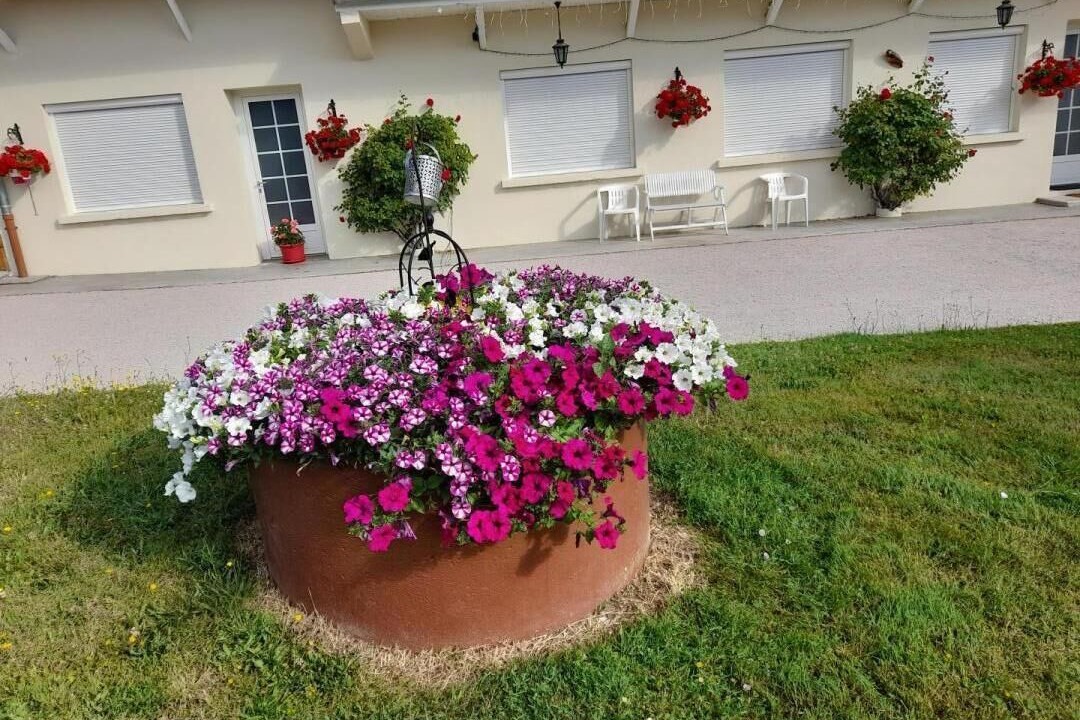 Photo of Outdoor in Lans