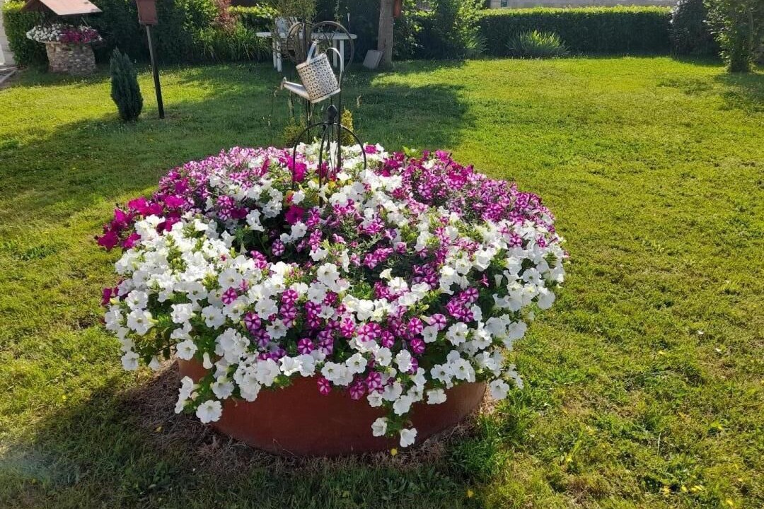 Photo of Outdoor in Lans