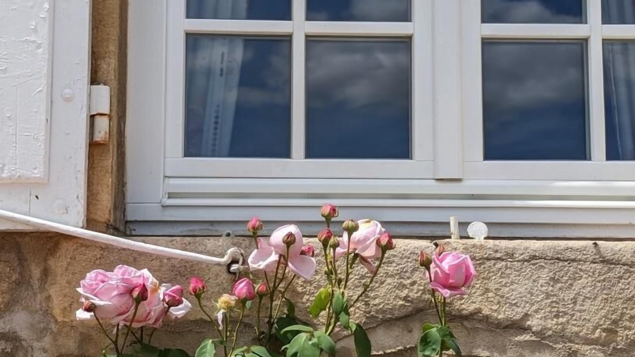 Photo of Outdoor in Vauxrenard