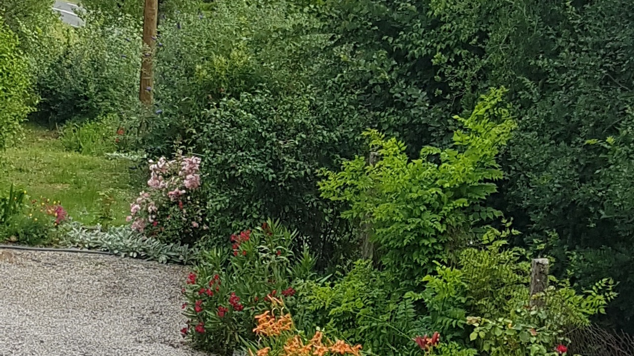 Photo of Outdoor in Bruniquel