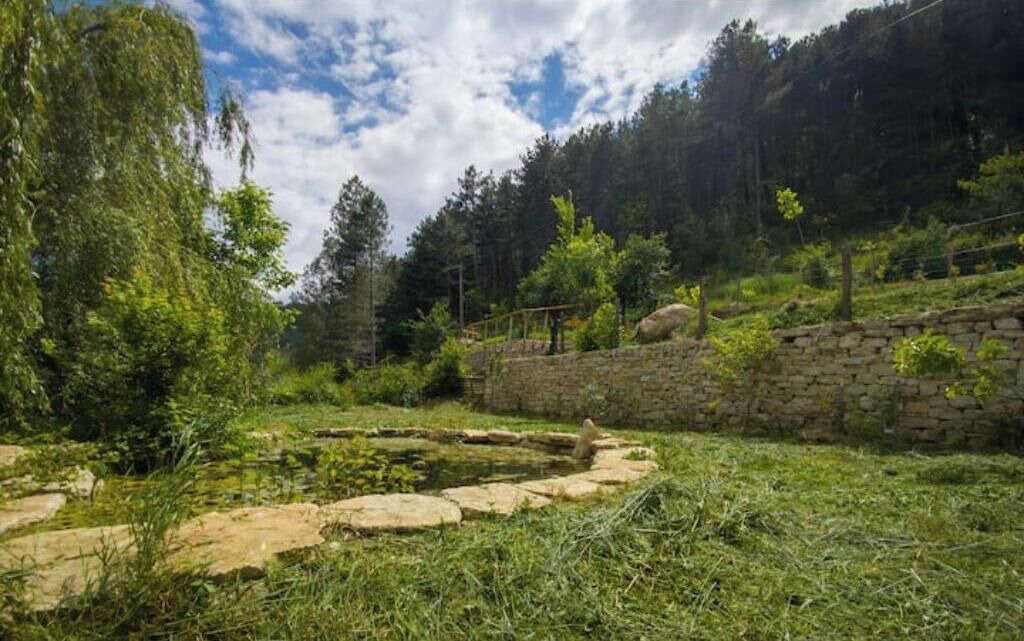 Photo of Outdoor in Die