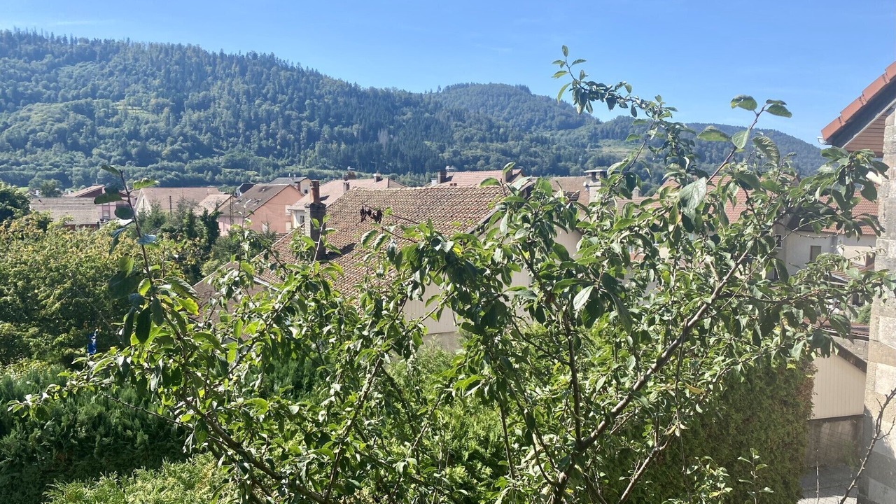 Photo of Outdoor in Rupt-sur-Moselle