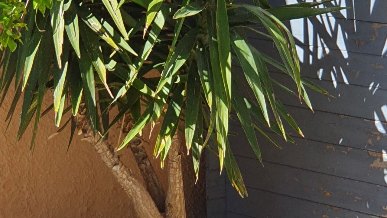 Photo of Outdoor in Pierrelatte