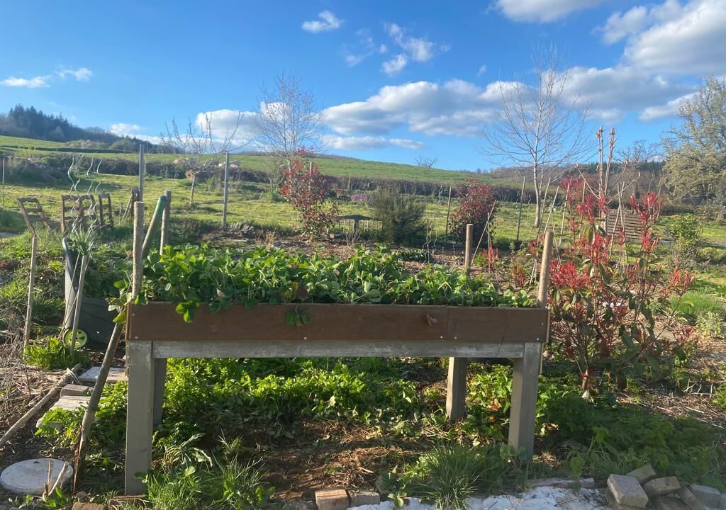 Photo of Outdoor in Larochemillay