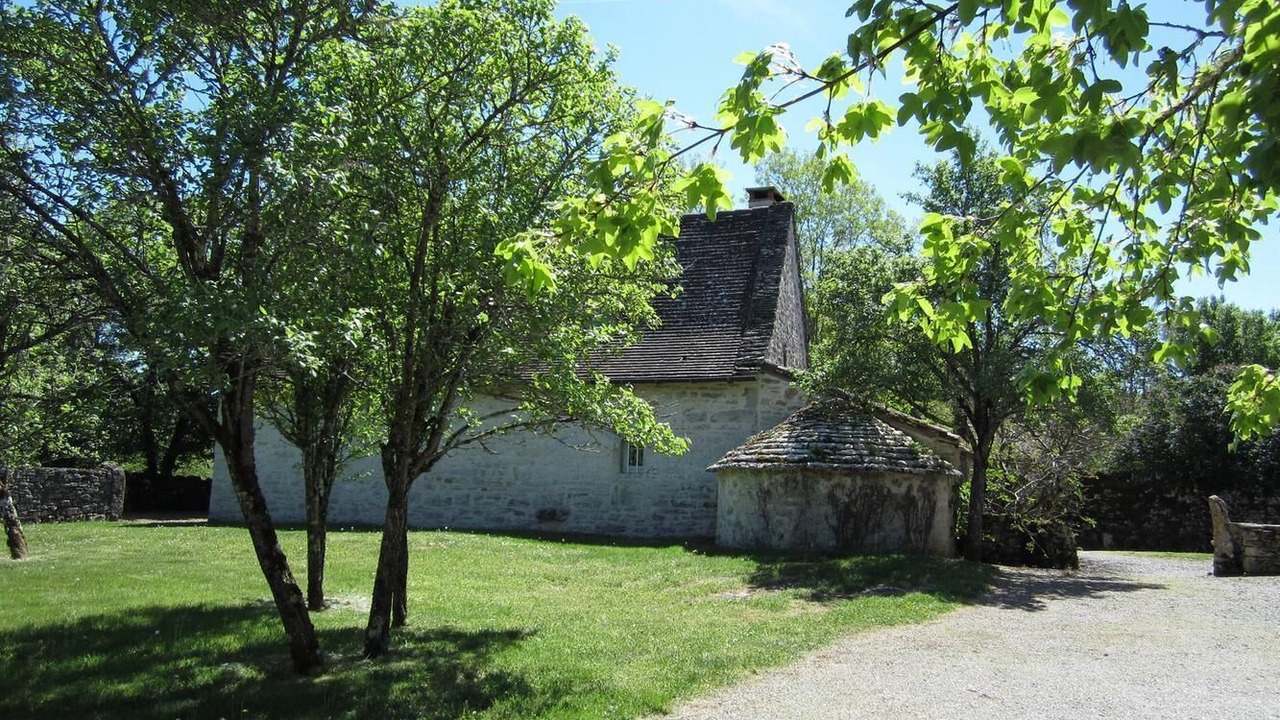 Photo of Outdoor in Corn