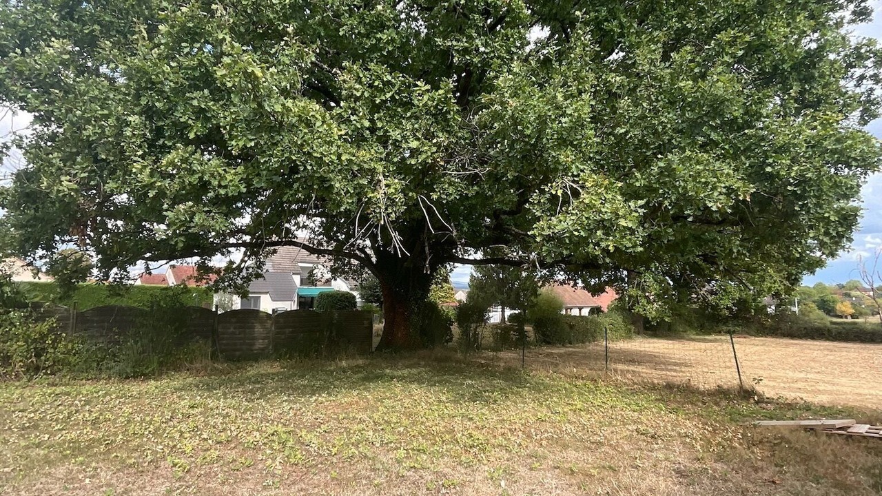 Photo of Outdoor in Fours