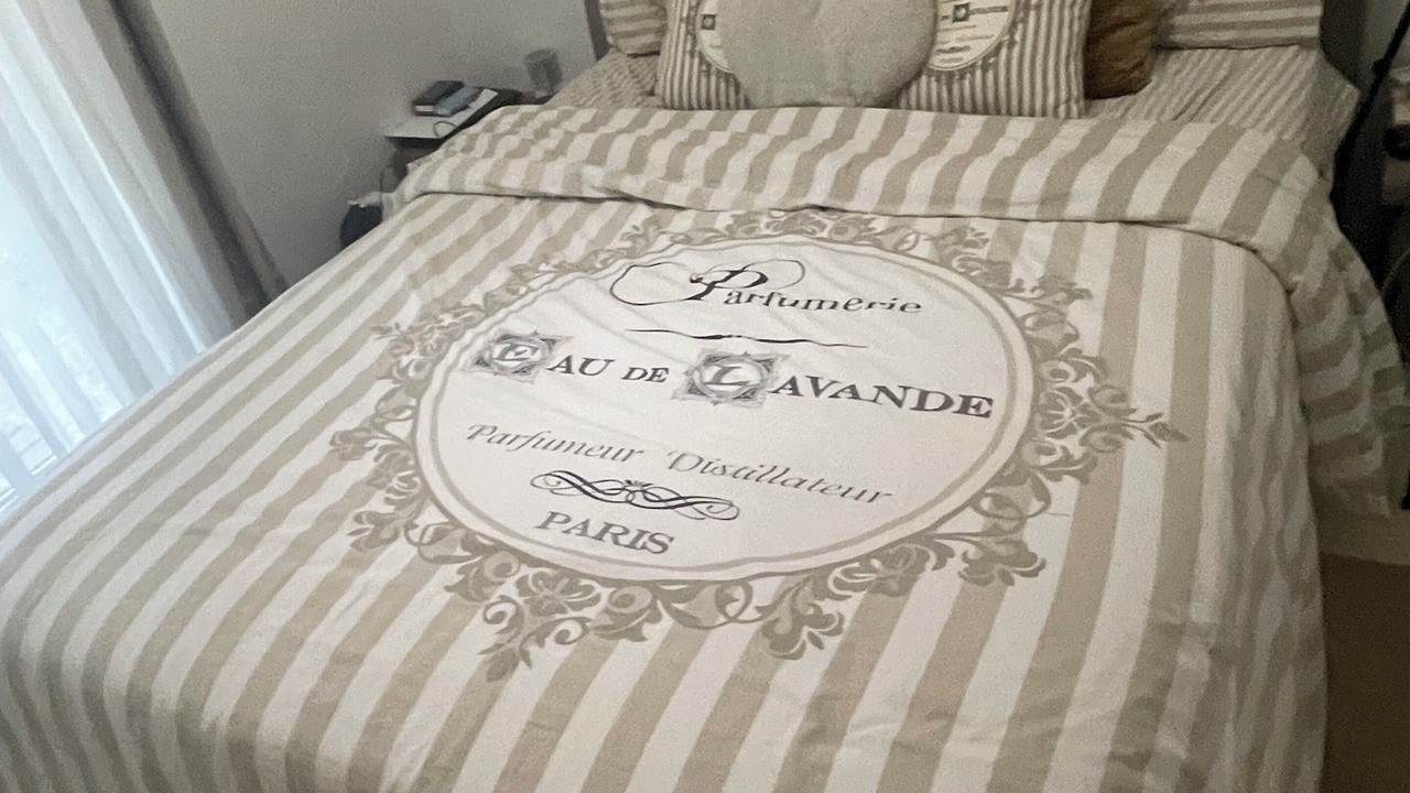 Photo of Bedroom in Chatenay-Malabry