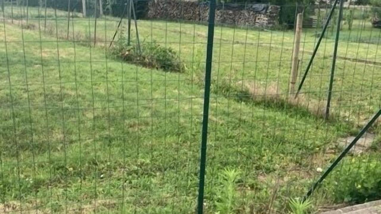 Photo of Outdoor in Pusy-et-Epenoux