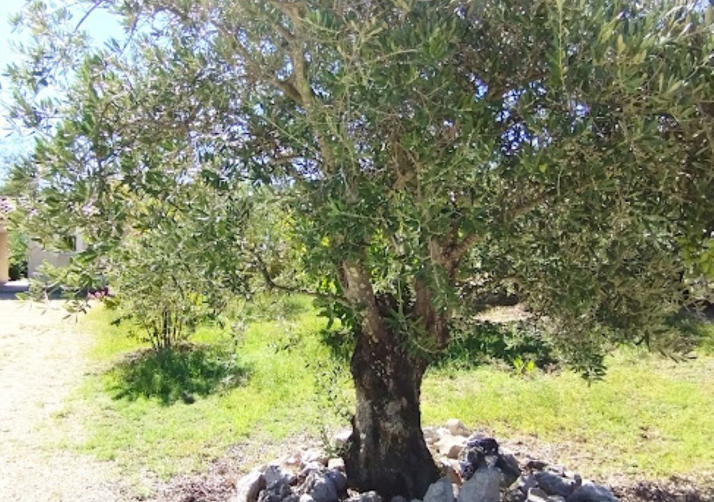 Photo of Outdoor in Sampzon