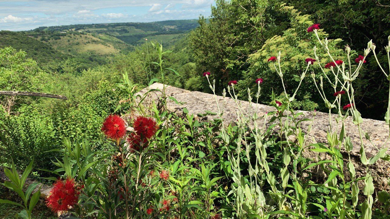 Photo of Outdoor in Nuces