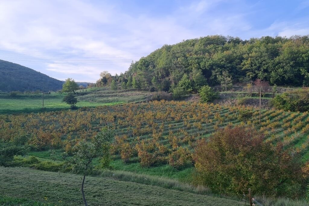 Photo of Outdoor in Le Teil