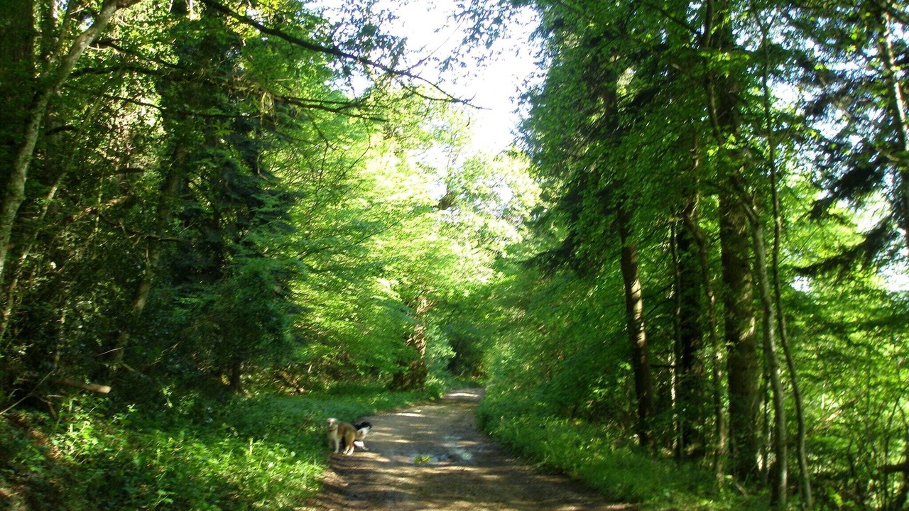 Photo of Others in Onlay