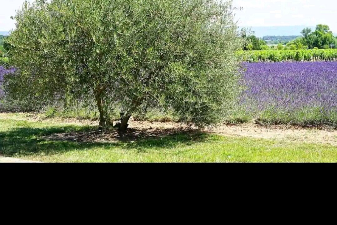 Photo of Outdoor in Saint-Maurice-sur-Eygues