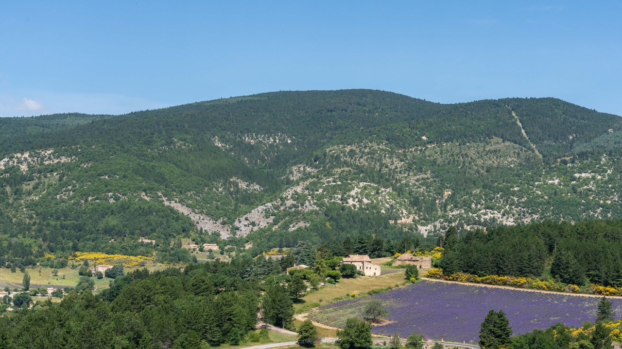 Photo of Others in Aubignan
