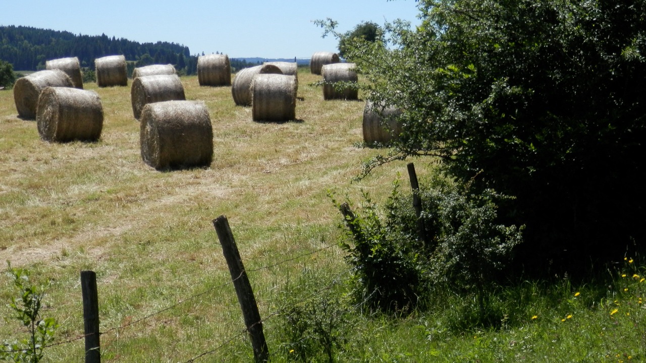 Photo of Outdoor in Oye-et-Pallet