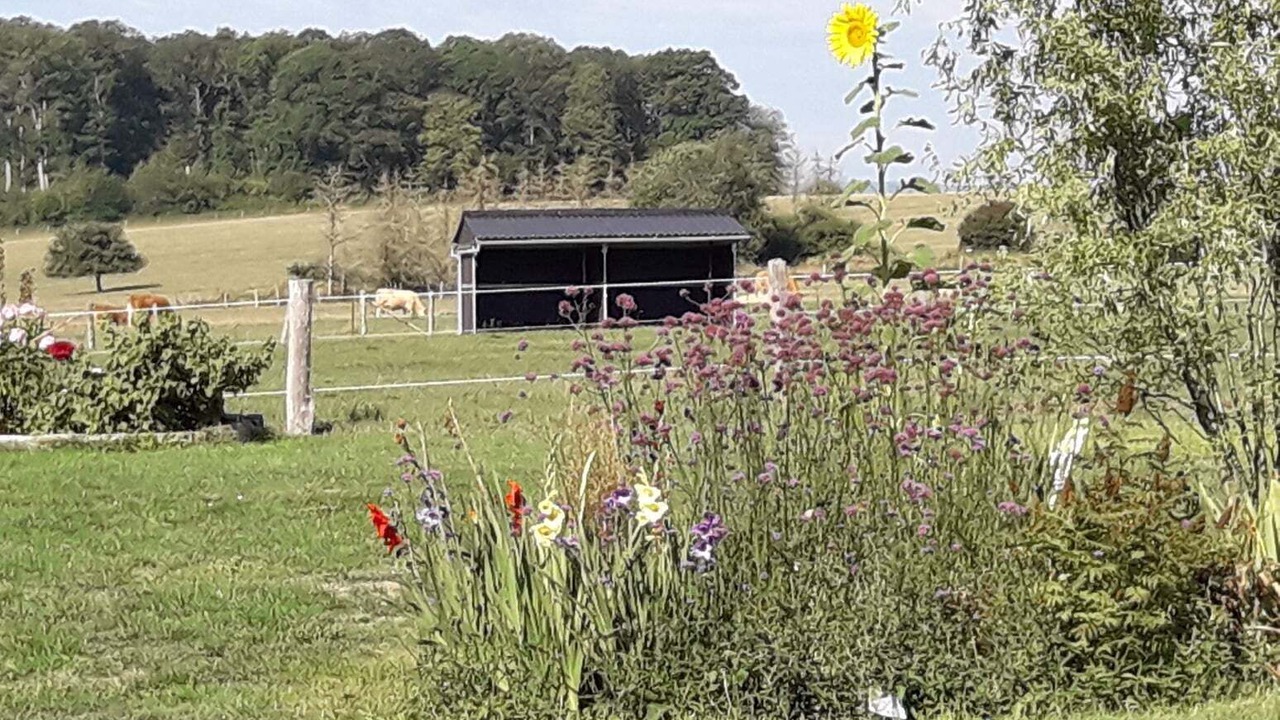 Photo of Outdoor in Claudon